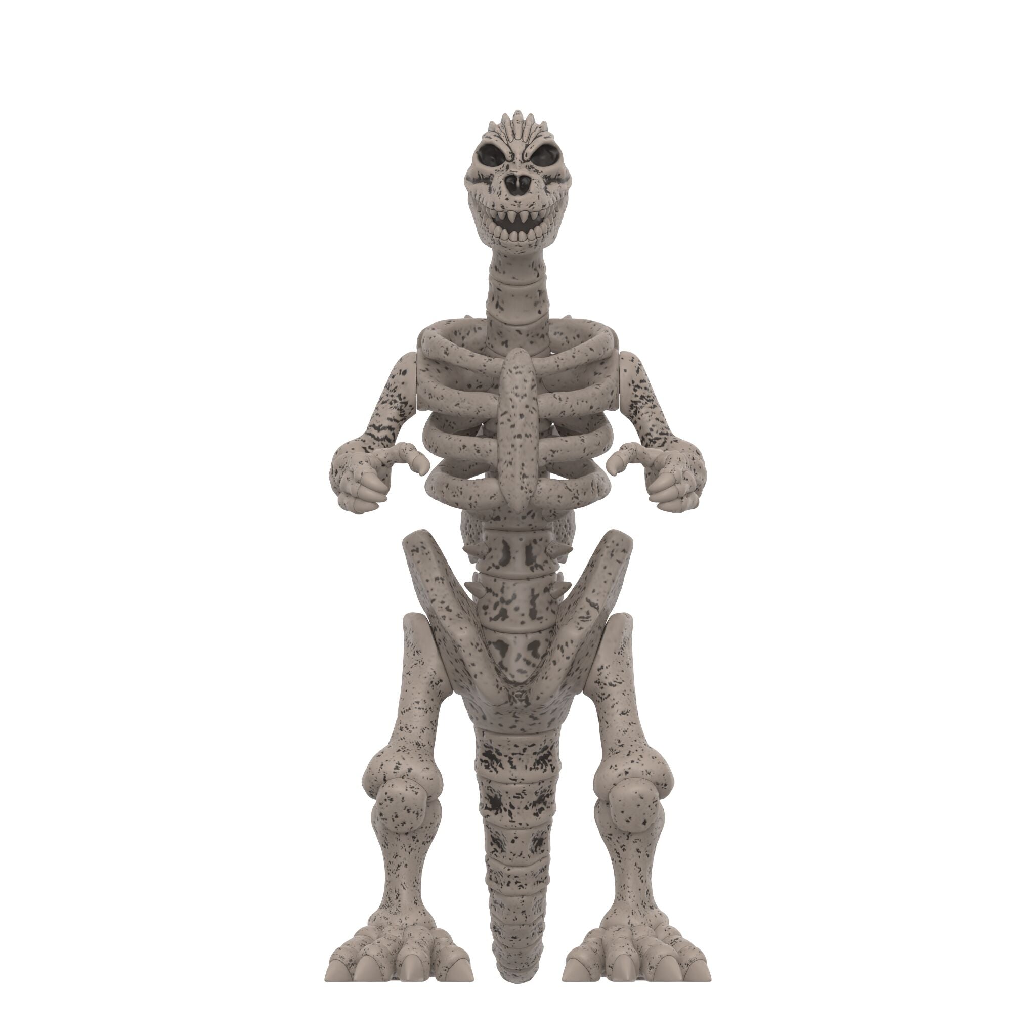 unnamed (1).jpeg